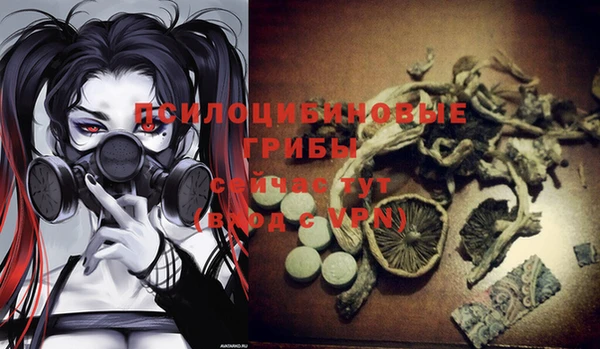 не бодяженный Белокуриха