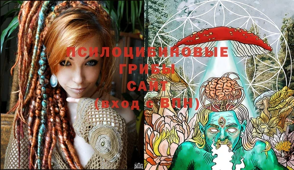 твердый Белоозёрский